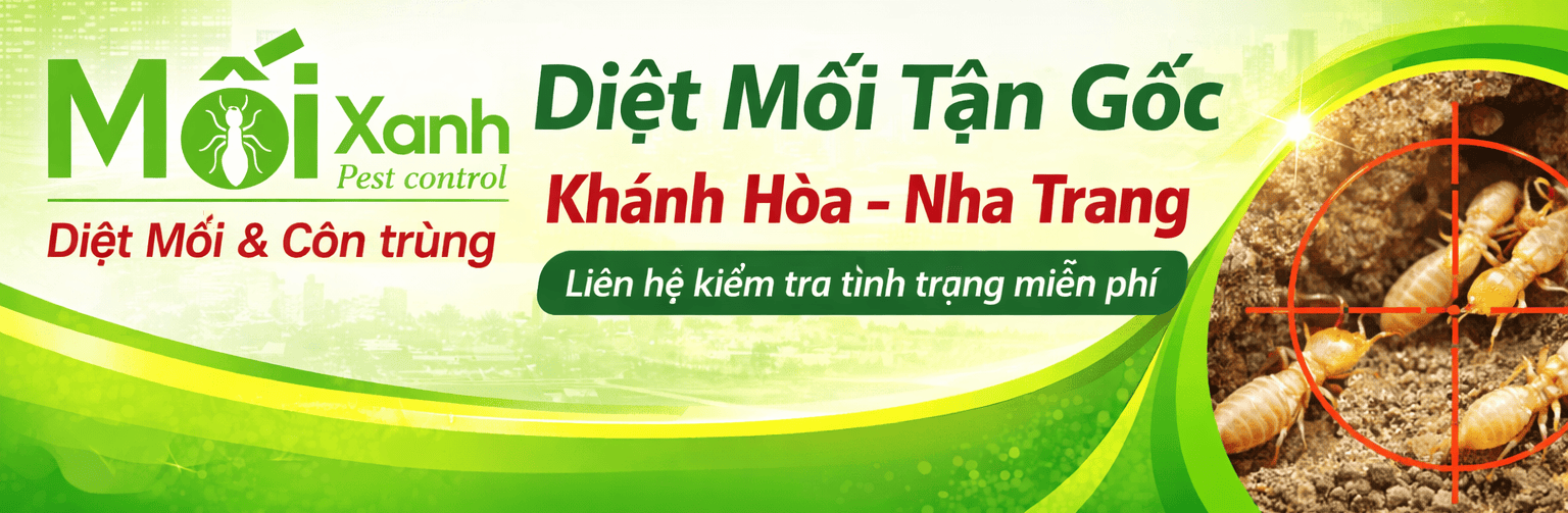 diệt mối kh&aacute;nh h&ograve;a